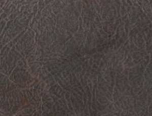 Percept Brown